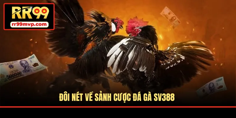 Đôi nét về sảnh cược đá gà SV388